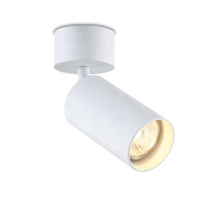 Plafondspot wit metaal GU10