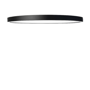 Plafondlamp dun en rond